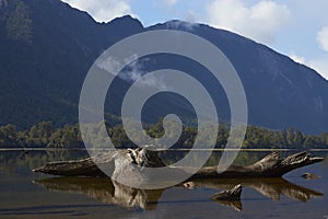 Lakes of the Carretera Austral photo