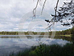 Lakes in forest