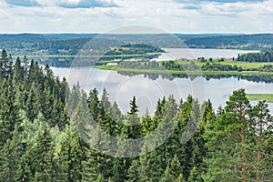 Lakes and forests at summer day