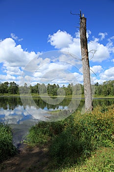 Lakes within Itasca State Park