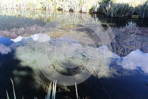 Reflection of the Earl Mountains in Mirror Lakes, South Island, New Zealand