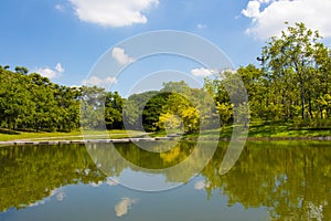 Lakes in the park