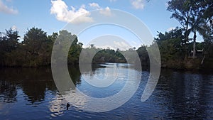 Lakes and Rivers - Birdlife abound this beautiful lake in Gladstone Qld photo