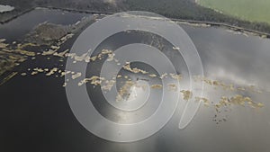 Lakes and swamps of Europe. Bird's-eye view over the lake in the swamp. Beautiful autumn nature landscape. Flying over