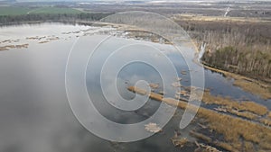 Lakes and swamps of Europe. Bird's-eye view over the lake in the swamp. Beautiful autumn nature landscape. Flying over