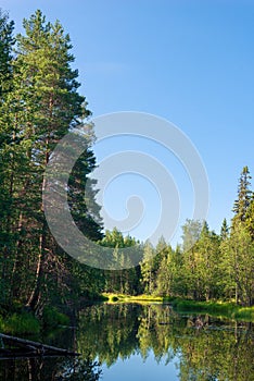 Lakeshore by a forest with water reflections Russia, Karelia.