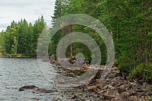 Lakeshore by a forest with water reflections Russia, Karelia.