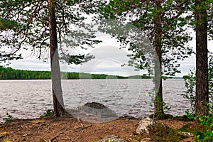 Lakeshore by a forest with water reflections Russia, Karelia.
