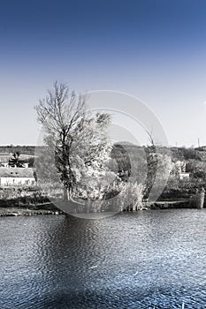 Lakeshore of a small fishing lake in Sarisap, Hungary