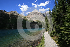 Lakeshore Trail at Lake O'Hara