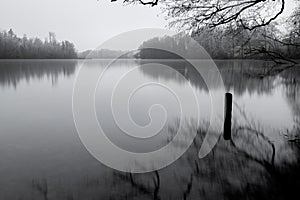 Lakeshore view on a foggy winter day - fog, frost and snow cover the lakeside of the famous lake â€žChiemseeâ€œ in Bavaria