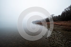 Lakeshore view on a foggy winter day - fog, frost and snow cover the lakeside of the famous lake â€žChiemseeâ€œ in Bavaria