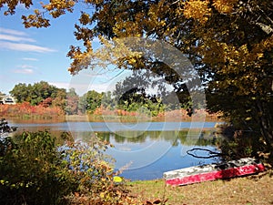 Lakeside Autumn Woods with Old Red Kayak