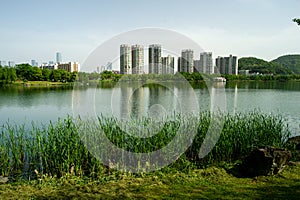 The lakeside of Changsha West Lake Park