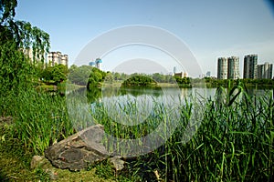 The lakeside of Changsha West Lake Park