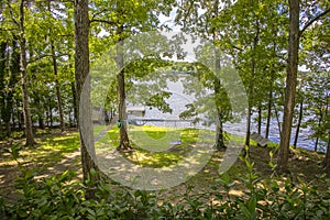 Lakeside Cottage Backyard