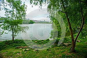 The lakeside ecological environment of West Lake Park