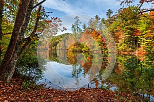 Lakeside fall foliage at Santeetlah Lake, North Carolina