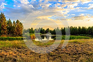 Lakeside Habitat at Sunset