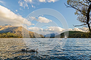 Lakeside of Lake Hayes located in the Wakatipu Basin in Central Otago, South Island