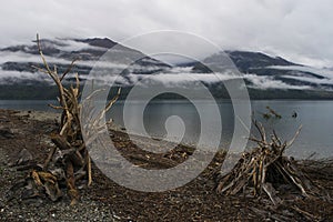 Lakeside at Lake Wanaka, New Zealand