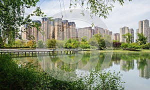 Lakeside modern city at sunny summer noon