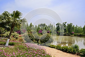 Lakeside path in flowers at sunny summer noon