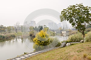 Lakeside path on withered lawn in light winter mist