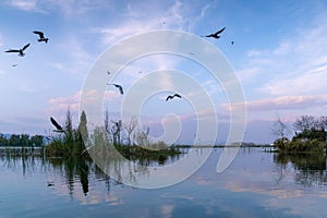 Lakeside scenery of a plateau lake