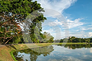 Lakeside scenery view