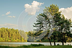 Lakeside on a sunny summer day