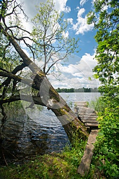 Lakeside on a sunny summer day