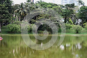 Lakeside view along a recreational park