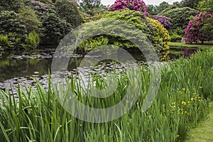 Lakeside view at Biddulph Grange, Stoke, Engalnd