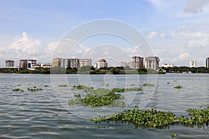 Lakeside view of city of kochi.