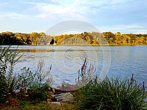 Lakeside View at Dusk with Plants