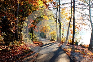 Lakeside Walking Trail in Autumn photo