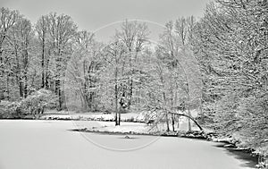 Lakeside winter snow panoramic view