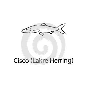 lakre herring icon. Element of marine life for mobile concept and web apps. Thin line lakre herring icon can be used for web and m