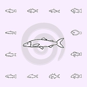 lakre herring icon. Fish icons universal set for web and mobile