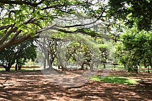 Lalbagh Botanical Gardens, Bangalore, Karnataka,