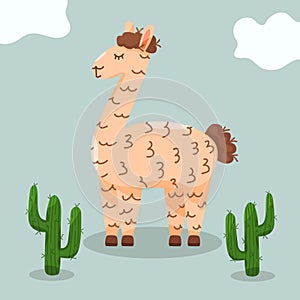 Lalma, cactus, wild, , postcard