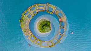 Lalu Island in the Middle of Sun Moon Lake, Aerial top view Floating Garden around Lalu island on Sun Moon Lake, Nantou, Taiwan