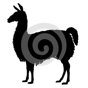 Lama adult black silhouette