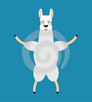 Lama Alpaca happy. Animal merryl emoji. Vector illustration