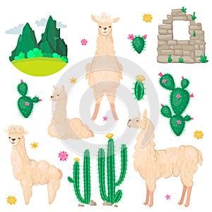 Lama and cactus set. Alpaca wool and llamas, succulents and Peru american valley with mountins vector illustration.