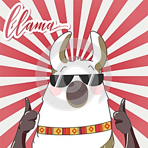 Lama in cartoon style.