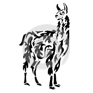 Lama drawing for coloring