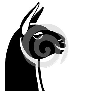 Lama head, vector illustration, black silhouette,