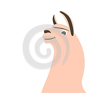 Lama head , vector illustration , flat style, profile